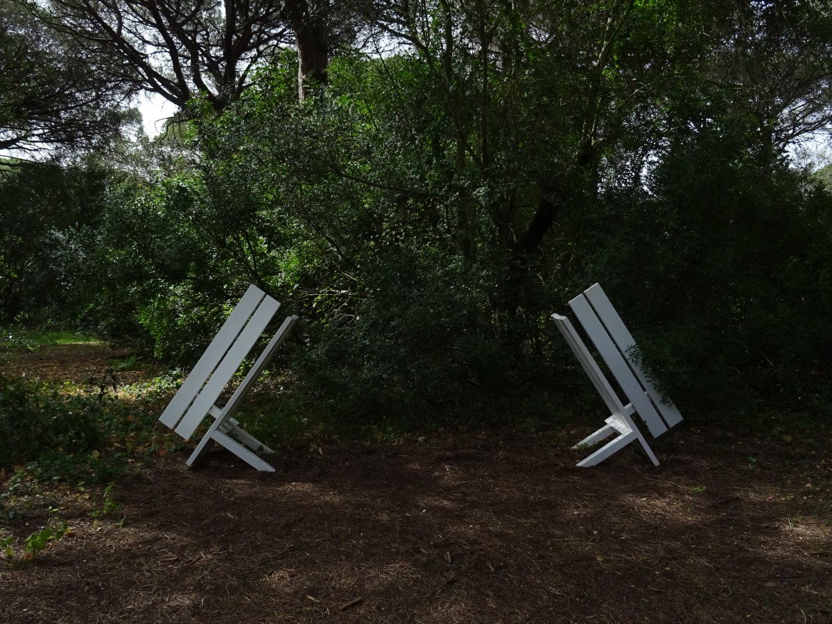 εμπιστοσύνη || της Σαλώμης