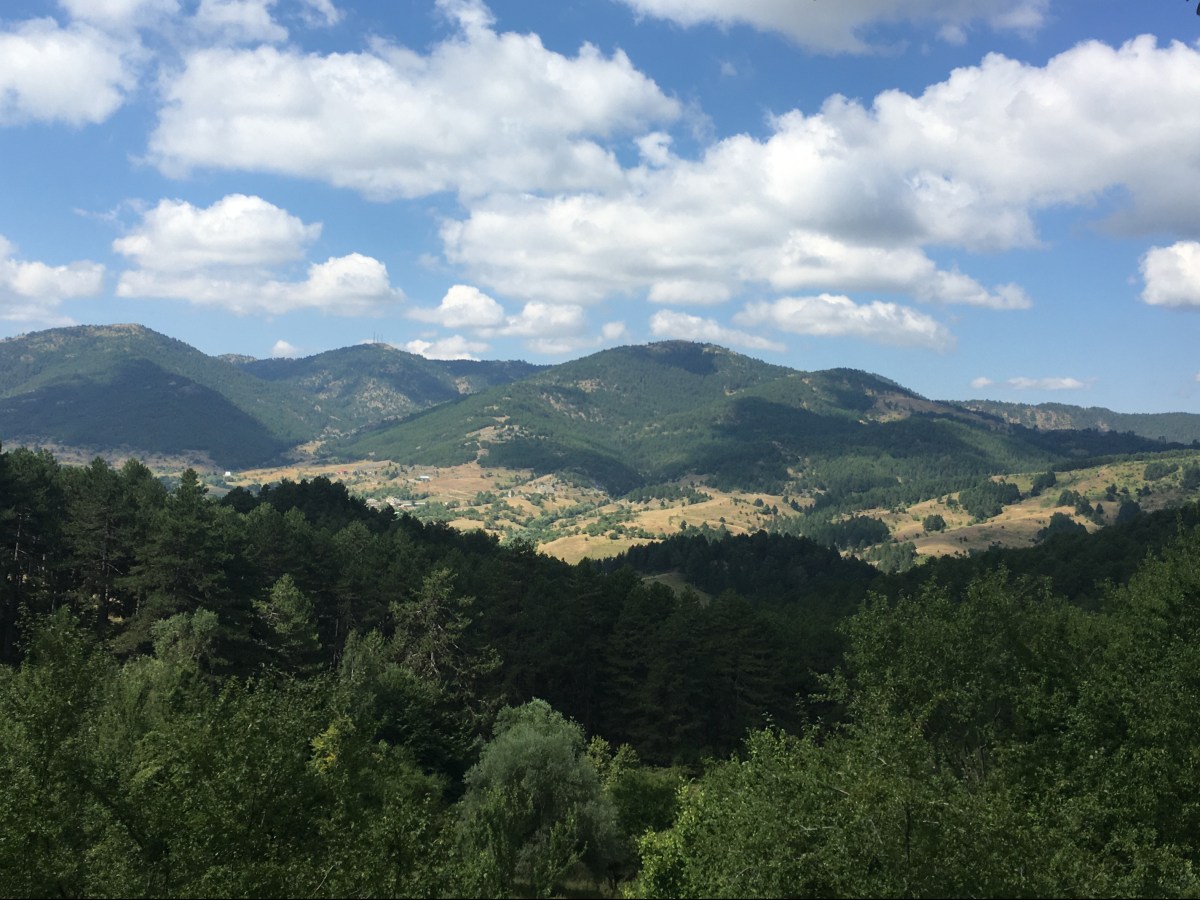 note to self || της Σαλώμης